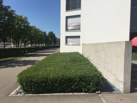 Betonreinigung Betonsanierung Hydrophobierung äussere Malerarbeiten See Promenade KABE Farben